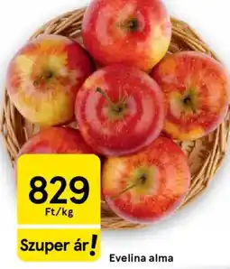 Tesco Evelina alma ajánlat