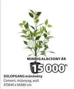 JYSK SOLOPGANG műnövény ajánlat