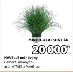 JYSK HAVELLE műnövény ajánlat