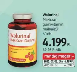 DM Walurinal ajánlat