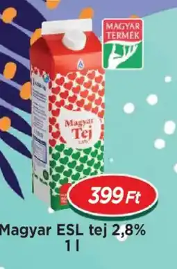 Real Magyar ESL tej 2,8% ajánlat