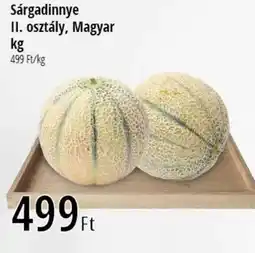 Real Sárgadinnye II. osztály, Magyar ajánlat