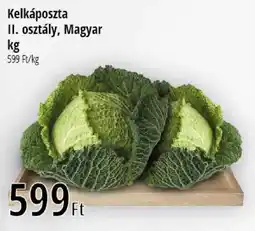 Real Kelkáposzta II. osztály, Magyar ajánlat