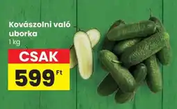 Spar Kovászolni való uborka ajánlat