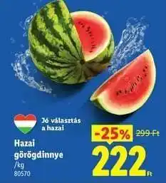 Lidl Hazai görögdinnye ajánlat
