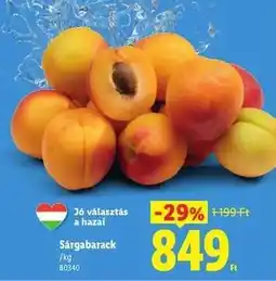 Lidl Sárgabarack ajánlat