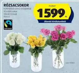 ALDI RÓZSACSOKOR ajánlat