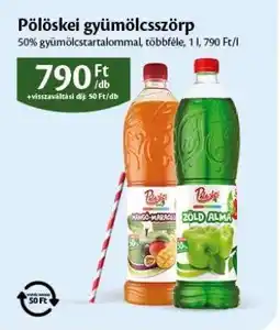 EcoFamily Pölöskei Gyümölcsszörp ajánlat