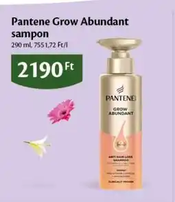 EcoFamily Pantene Grow Abundant sampon ajánlat