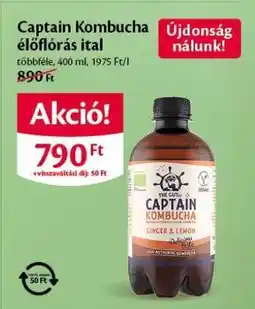 EcoFamily Captain Kombucha élőflórás ital ajánlat