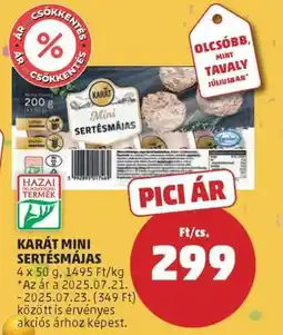 PENNY KARÁT MINI SERTÉSMÁJAS ajánlat