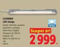 Lidl Livarno LED-lámpa ajánlat