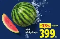 Lidl Mini görögdinnye ajánlat