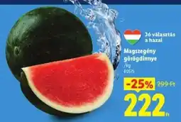 Lidl Magszegény görögdinnye ajánlat