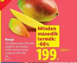 Lidl Mangó ajánlat