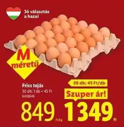 Lidl Friss tojás ajánlat