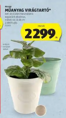ALDI BELAVI Műanyag virágtartó ajánlat