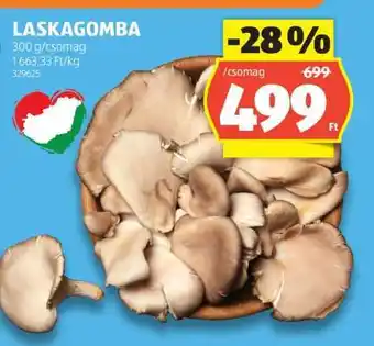 ALDI Laskagomba ajánlat