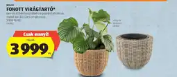 ALDI Fonott virágtartó ajánlat