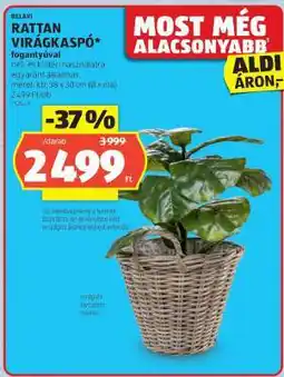 ALDI Rattan Virágkaspó ajánlat