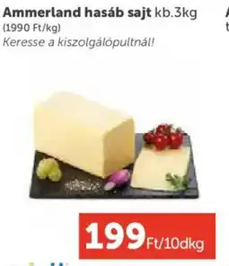 PRIVÁT Ammerland hasáb sajt ajánlat
