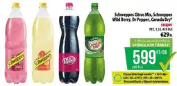 Coop Schweppes Citrus Mix, Schweppes Wild Berry, Dr Pepper, Canada Dry ajánlat