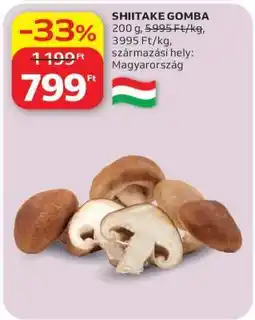 Auchan Shiitake gomba ajánlat