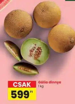 Spar Gália dinnye ajánlat