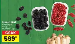 Spar Szeder, ribizli csomagolt ajánlat