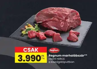 Regnum marhalábszár