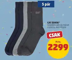 PENNY CAT ZOKNI ajánlat