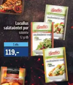 Metro Lucullus salátaöntet por ajánlat