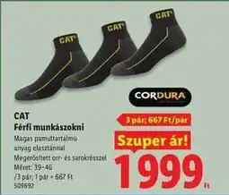 Lidl CAT ajánlat