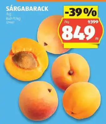 Sárgabarack