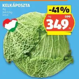 ALDI Kelkáposzta ajánlat