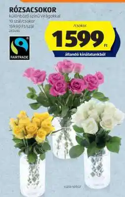ALDI RÓZSACSOKOR ajánlat