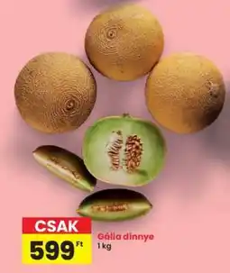 Interspar Gália dinnye ajánlat