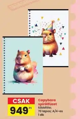 Interspar Capybara spirálfüzet ajánlat