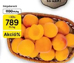Tesco Sárgabarack ajánlat