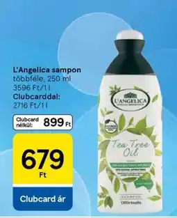 Tesco L'Angelica sampon ajánlat