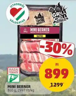 PENNY MINI BERNER ajánlat