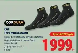 Lidl CAT ajánlat