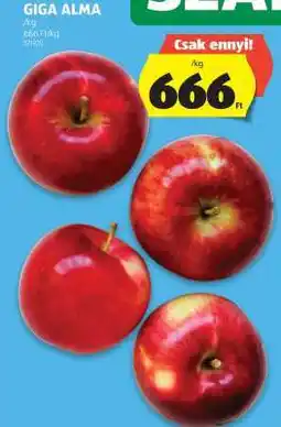 ALDI GIGA ALMA ajánlat