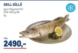 Metro GRILL SÜLLŐ ajánlat