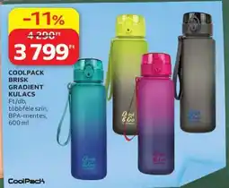 Auchan COOLPACK BRISK GRADIENT KULACS ajánlat