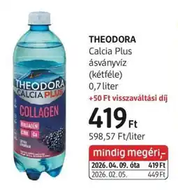 DM THEODORA ajánlat