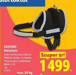 Lidl zoofari Kutyahám ajánlat