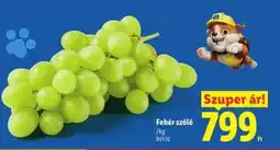 Lidl Fehér szőlő ajánlat