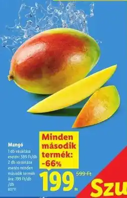 Lidl Mangó ajánlat