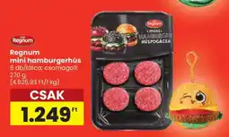 Spar Regnum mini hamburgerhús ajánlat